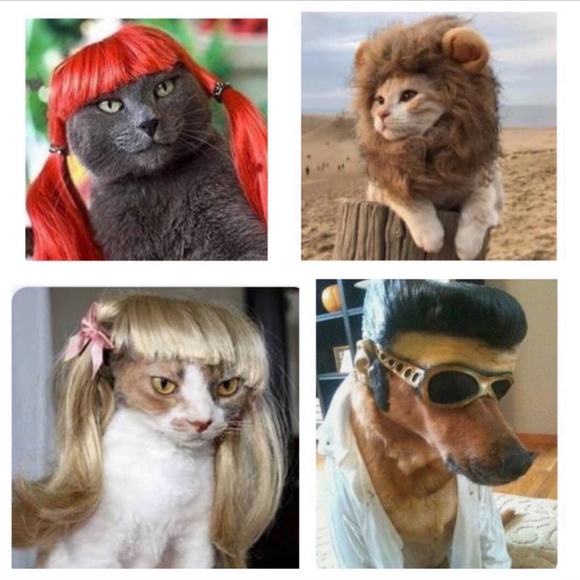 ❌ 11/19 WICKED WEDNESDAY VINTAGE FASHION SHARE GROUP - Picture 2 of 16